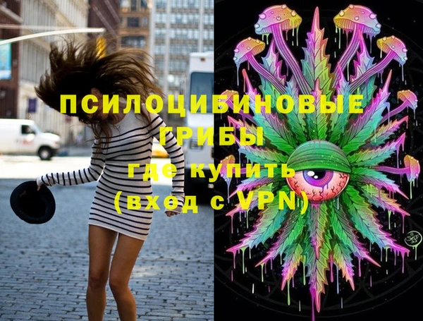 кокс Вяземский