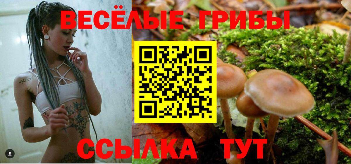 Галлюциногенные грибы мицелий Нурлат
