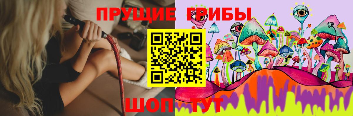 Нурлат  магазин продажи наркотиков  Вход с VPN  Псилоцибиновые грибы Magic Shrooms 