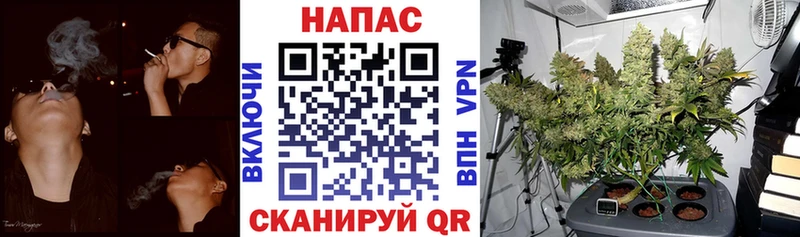 Конопля OG Kush  Нурлат 