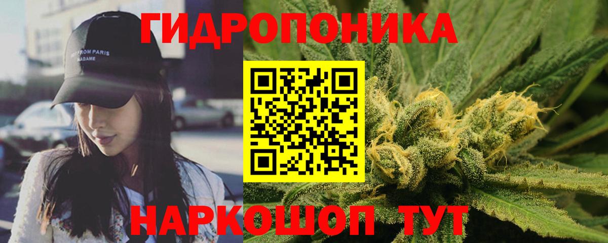 Каннабис OG Kush Нурлат